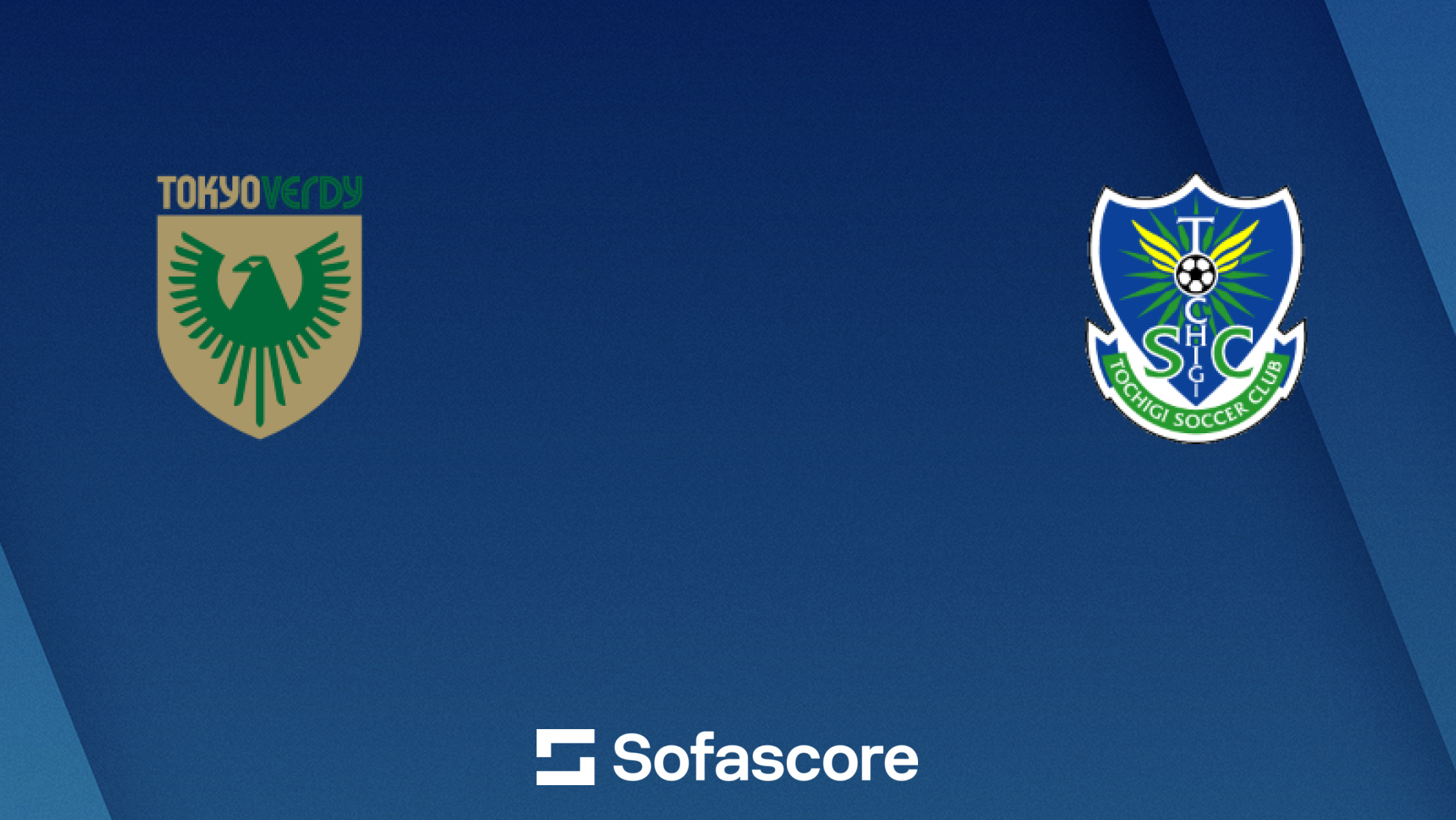 TOKYO VERDY × WHIZ TOKYO VERDY × WHIZ