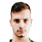 mirza-hasanbegovic