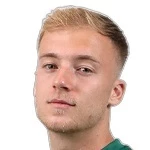 dennis-lutke-frie