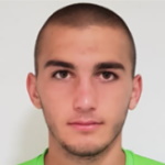Nikola Todorovic