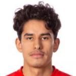victor-goransson