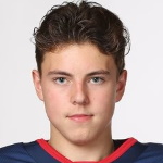 Maxim Fedotov