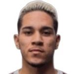 gustavo-apis