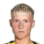 armann-ingi-finnbogason