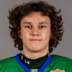 Yaroslav Tsulygin