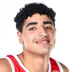 Karim Elgizawy