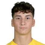 Tommaso Ciardi