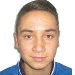 Borna Vidićek