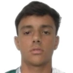 vitor-fonseca-martins-de-castro