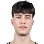 David Andrei Brailescu
