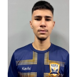 henrique-ferreira-santos