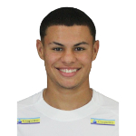 Diogo Godke