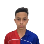 matheus-henrique-spagnollo-de-souza