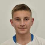 Bogoljub Šešlija