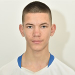 Nedeljko Čubrilo