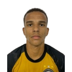 Vinicius Waldrich da Silva