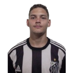 Adryan Gabriel Bitencourt Silva de Paula