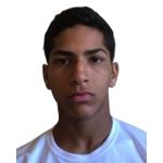 Arthur Santos Pereira Barcelos