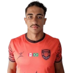 Pedro Henrique Rocha de Lima