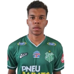 vinicius-henrique-santos-ferreira