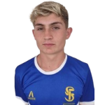 Wendryl Felipe Callegarim Bilieski