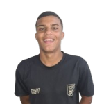 hugo-henrique-delfino-dos-santos