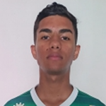 eryck-matheus-santos-da-silva