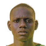 Shina Bamiteko