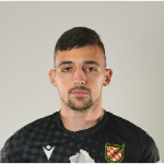 Andrija Gudelj