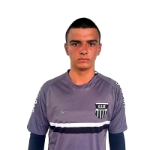 leonardo-wurzler-dos-santos