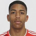 Vitor Augusto Vieira Santos