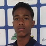 Enzo Henrique Jesus Januário Lima
