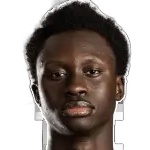 salim-diaby