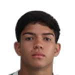 João Torres de Castro