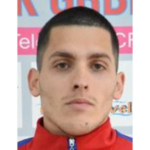 nikola-radenovic