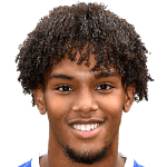 vani-da-silva