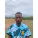 Henry Fresh Osatuyi