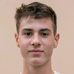 Karlo Krstić