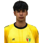 luis-henrique-dareli-pereira