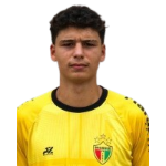 Gabriel Villela Souza