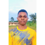 Ugochukwu Ifeanyi Moses