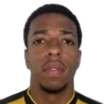 Thales Lourenço Rodrigues