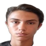 amirmohammad-mardomi
