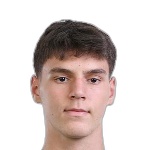 Alem Hadzic