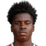 bradley-ndi