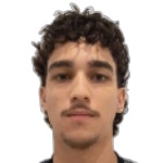 Henrique Grisi de Alencar Soares