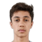 Arthur Faria Alves Sertori Monsores