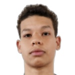 Gustavo Henrique Meireles Braun