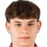 Karol Ogorzalek