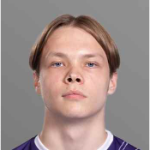 nikita-novik